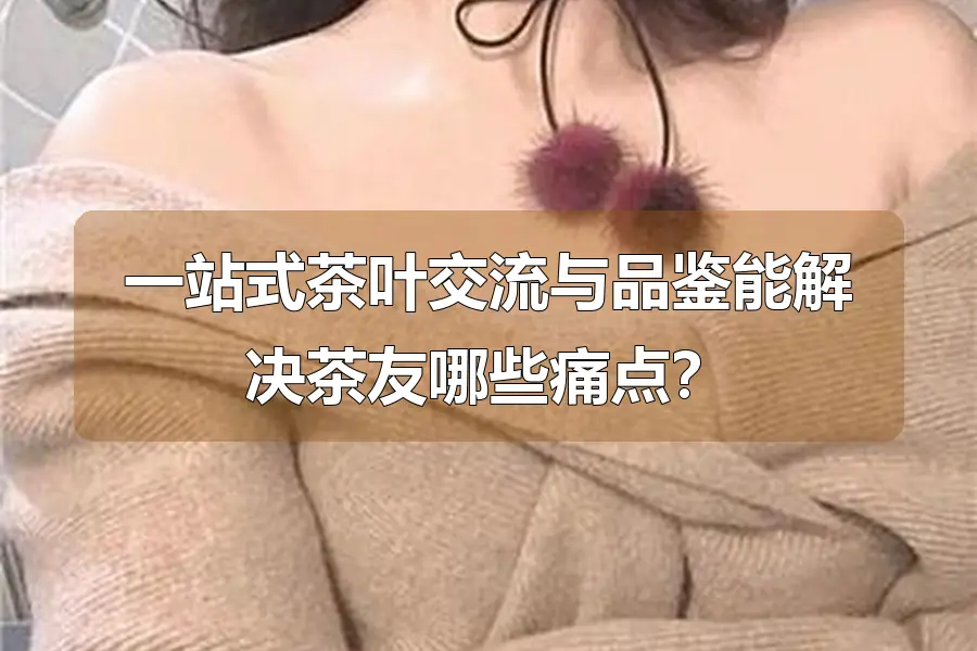 一站式茶叶交流与品鉴能解决茶友哪些痛点?